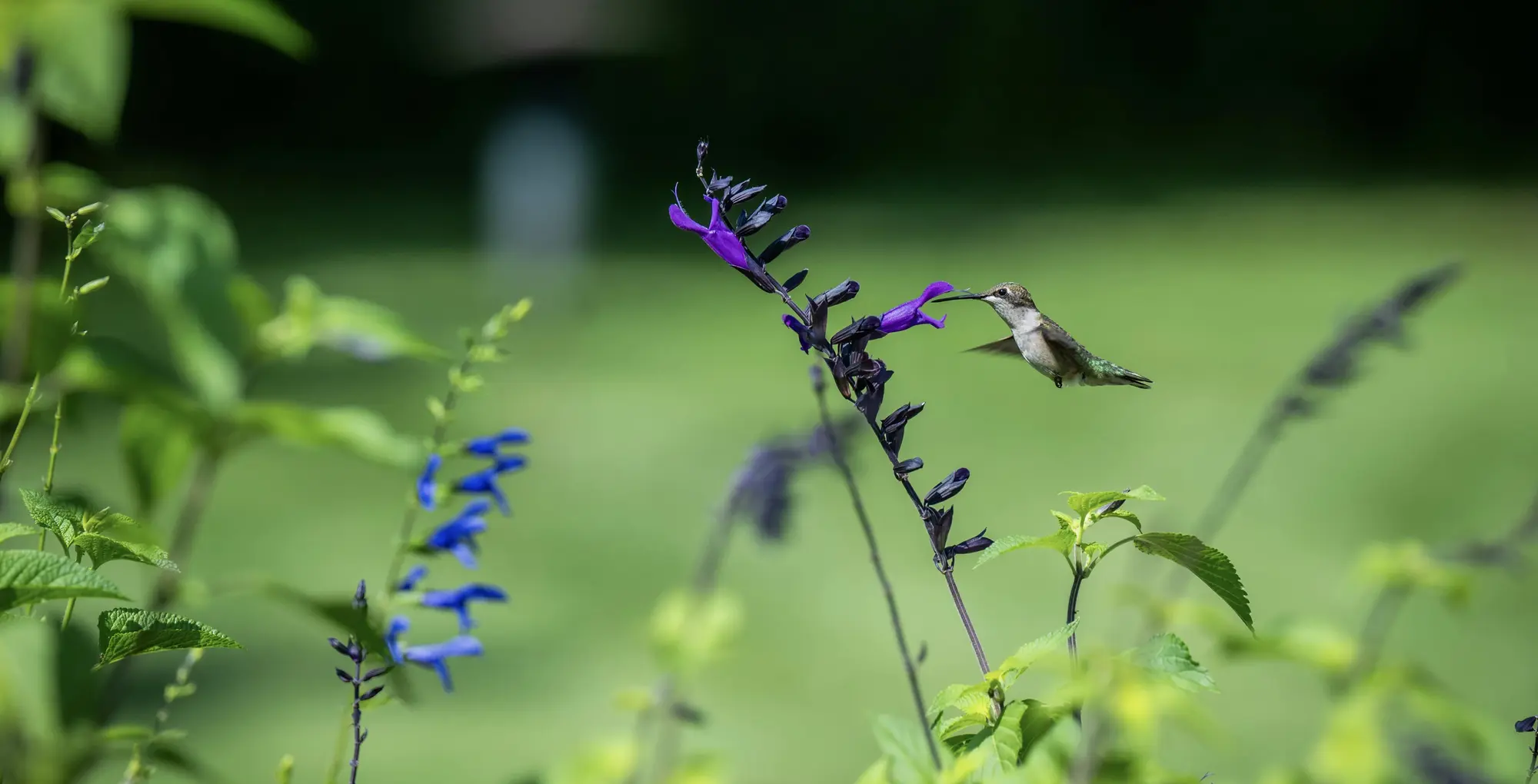 pexels chris f 38966 33353187 2