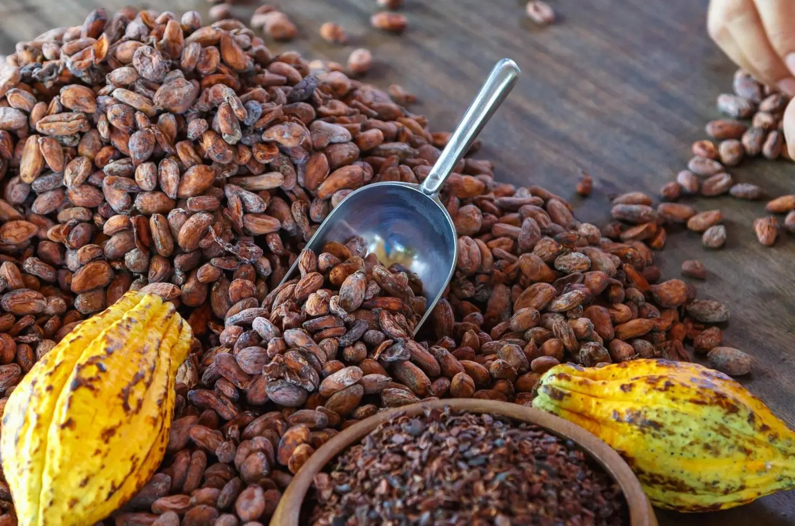 EUDR Blended Training: From Understanding to Implementation primary image