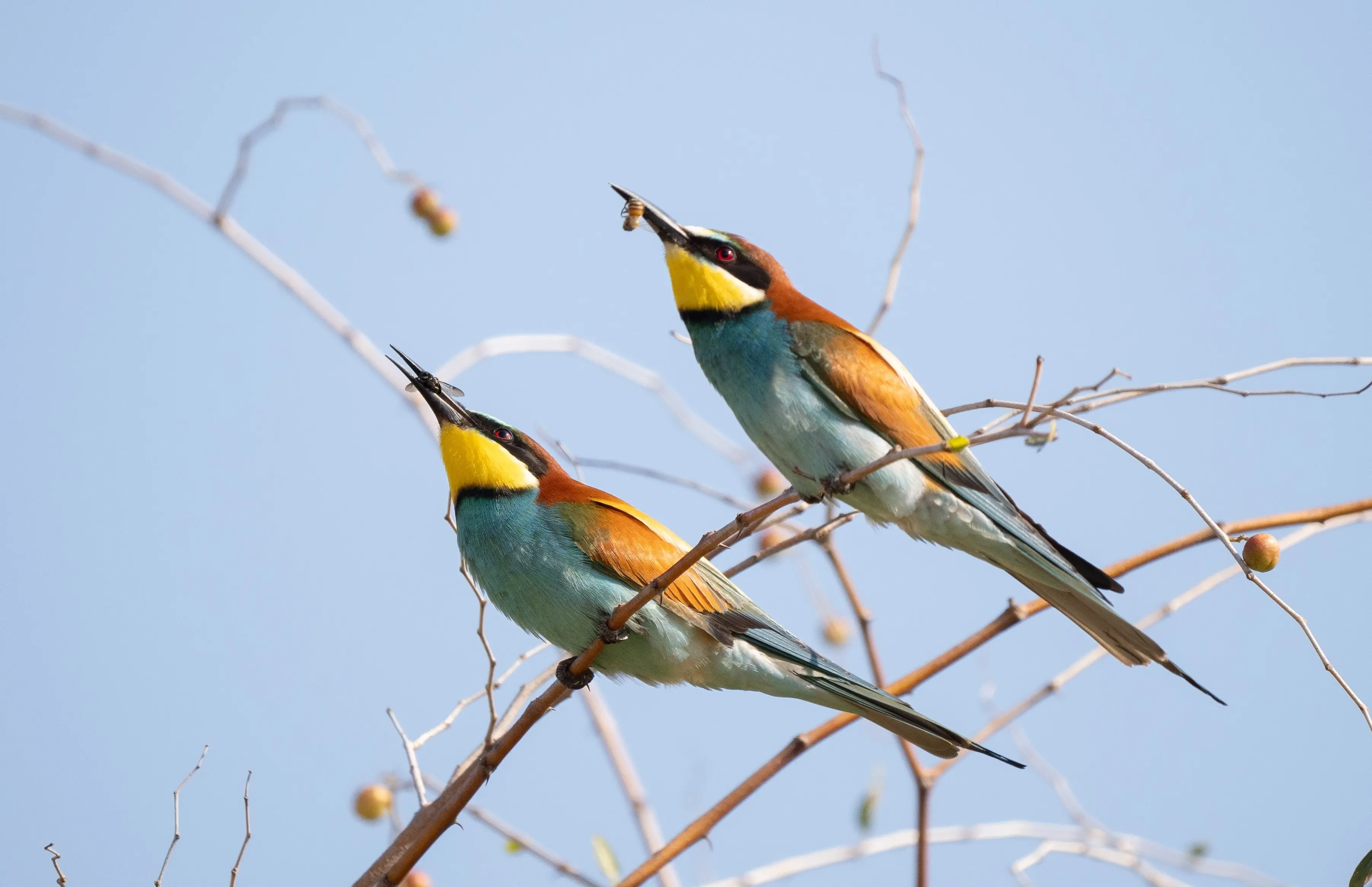 Szkolenie hybrydowe EUDR: Od zrozumienia do wdrożenia primary image