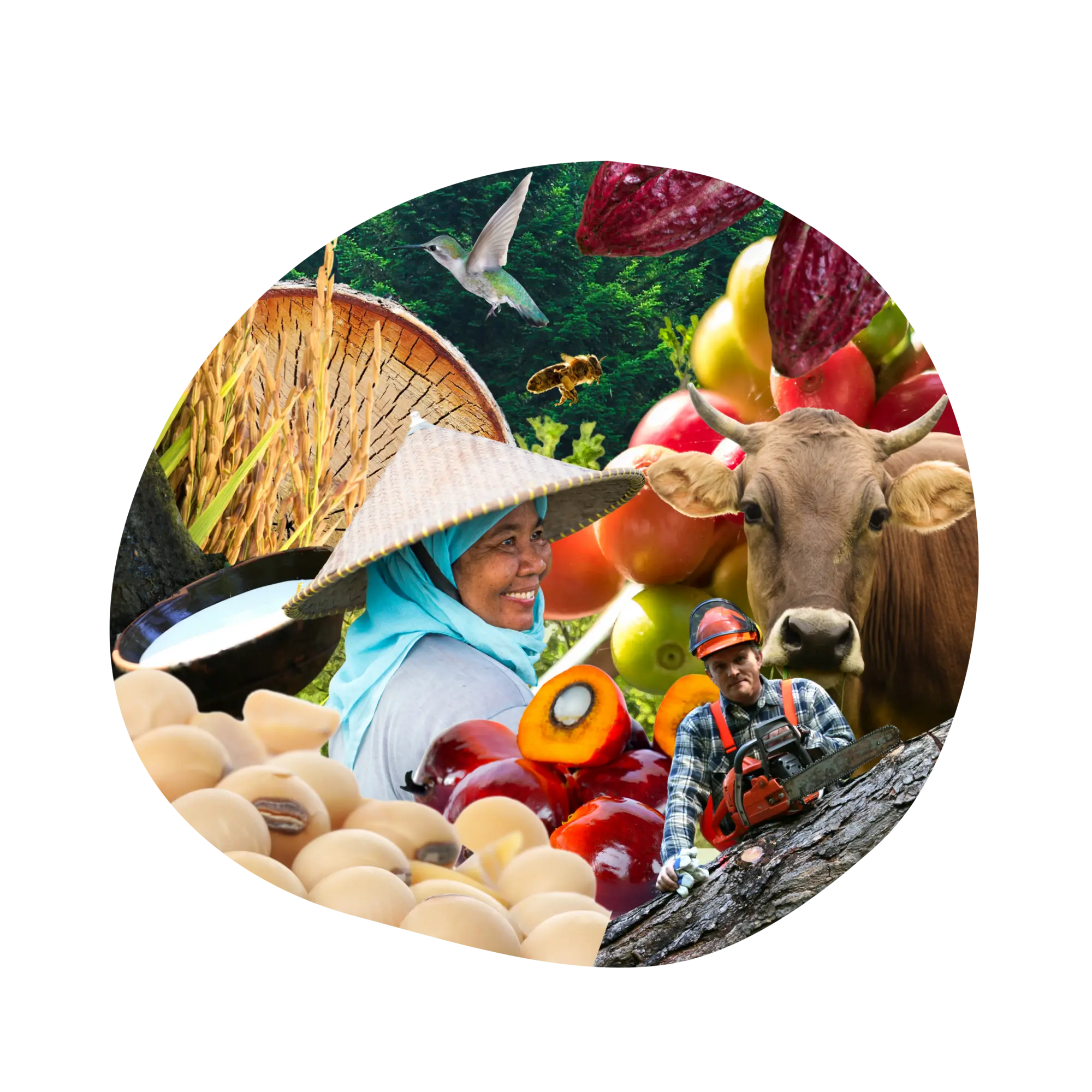 The Sustainability Framework Programme (2000 x 2000 px) (6)